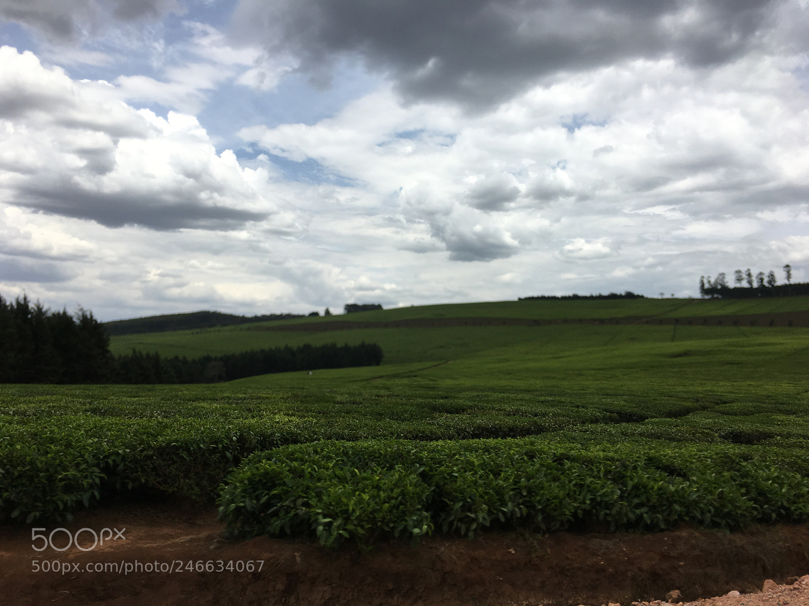 Apple iPhone 6s Plus sample photo. Untitled photography