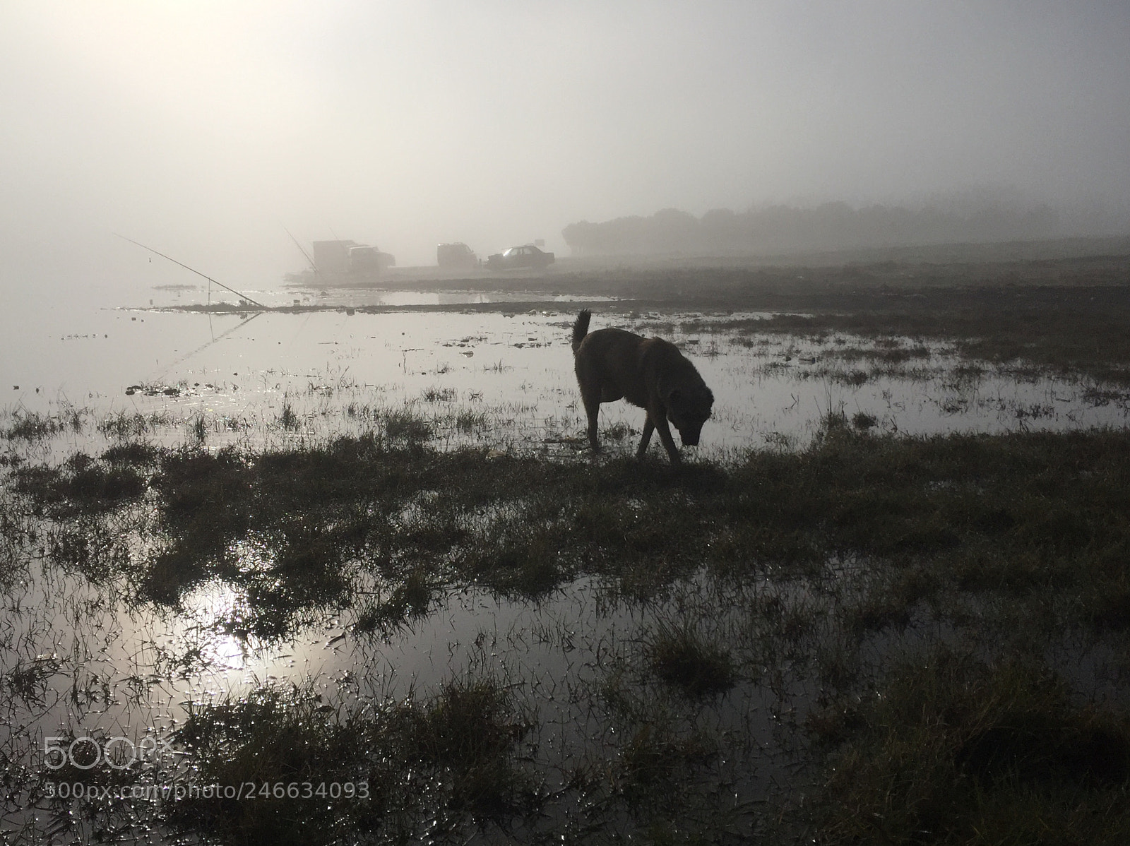 Apple iPhone 6 sample photo. Untitled photography
