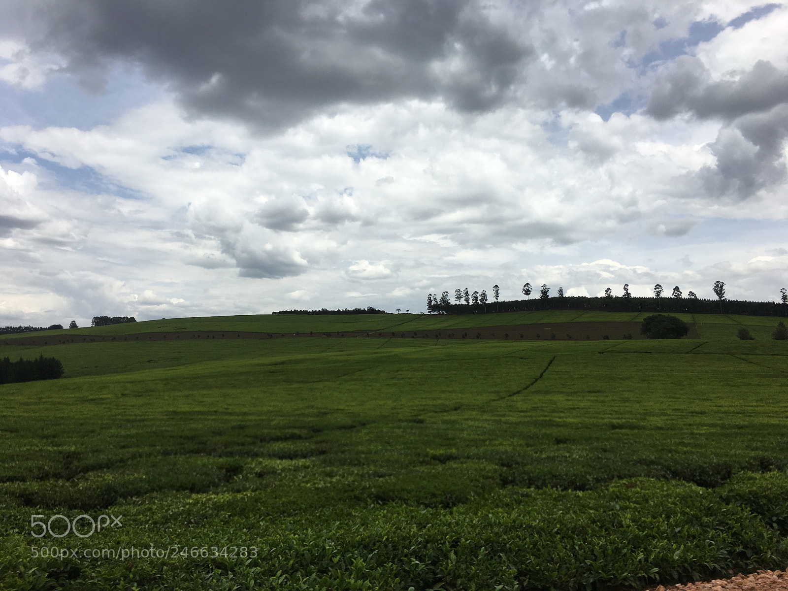 Apple iPhone 6s Plus sample photo. Untitled photography