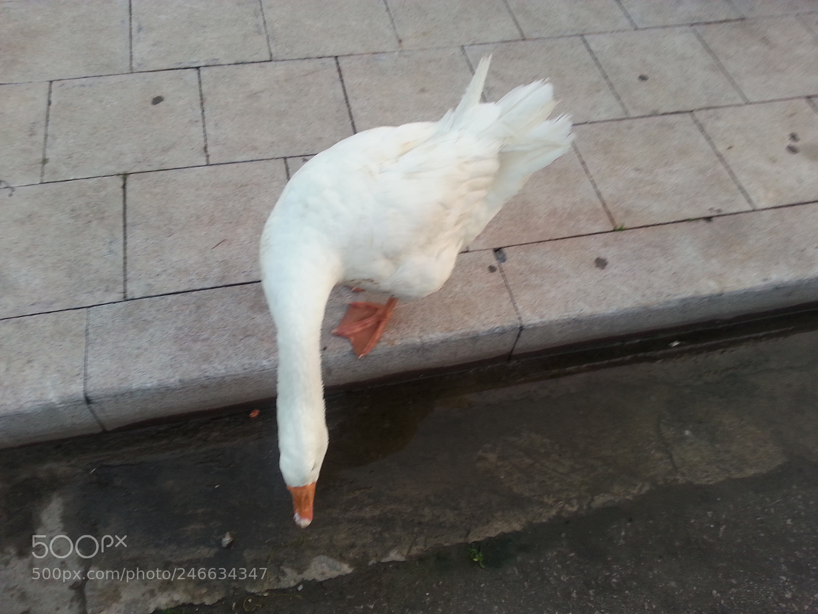 Samsung Galaxy S3 sample photo. Γαλαξείδι - galaxidi photography