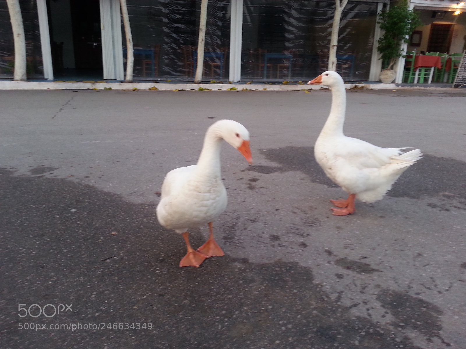 Samsung Galaxy S3 sample photo. Γαλαξείδι - galaxidi photography
