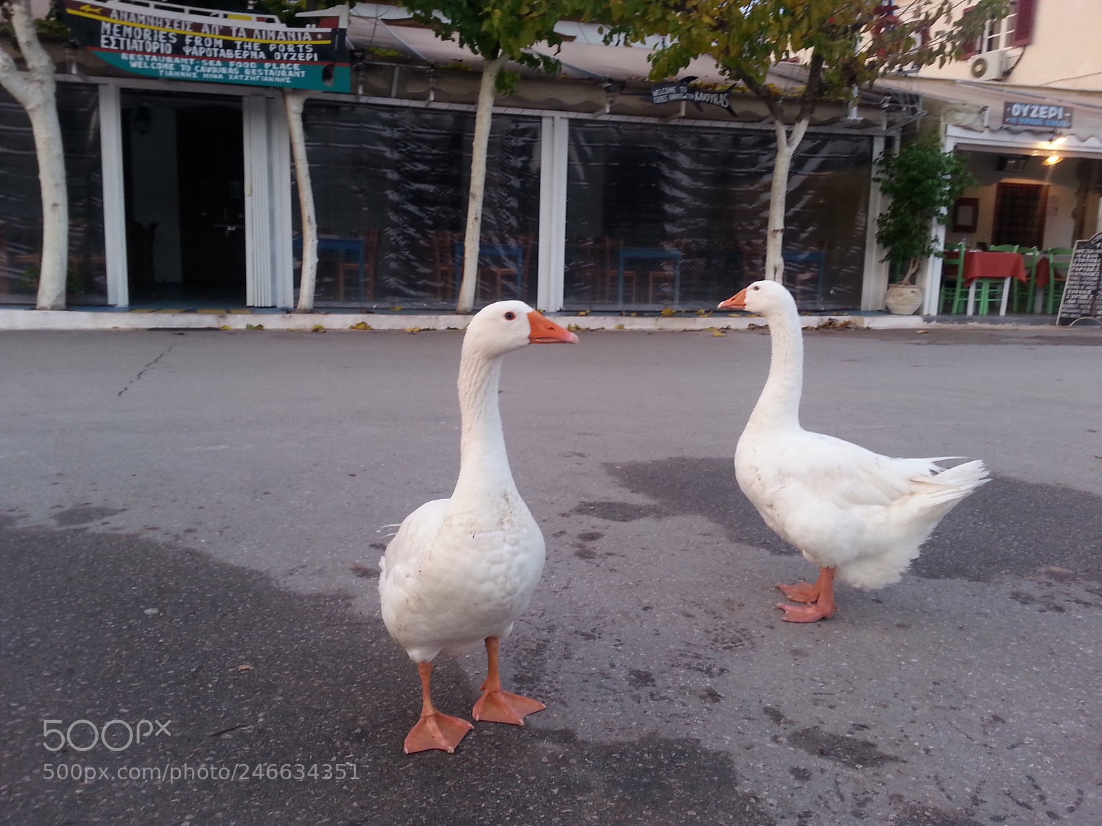 Samsung Galaxy S3 sample photo. Γαλαξείδι - galaxidi photography