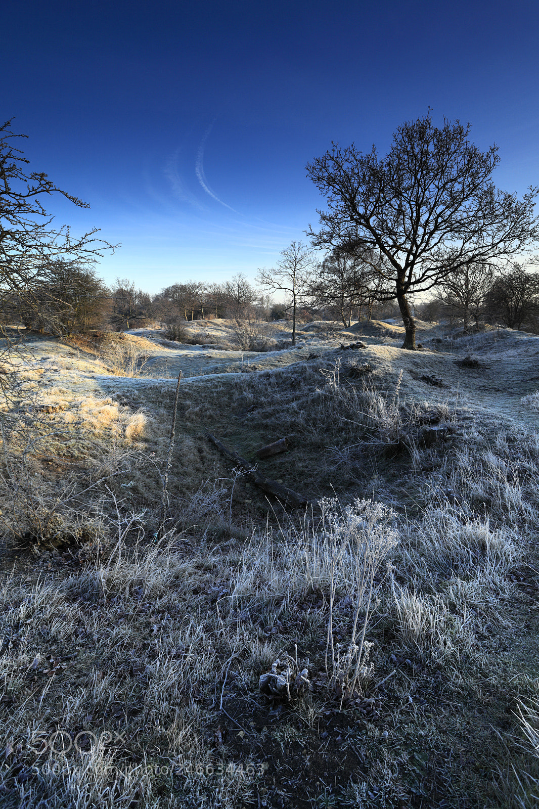 Canon EOS 5D Mark II sample photo. Winter frosty dawn, barnack photography
