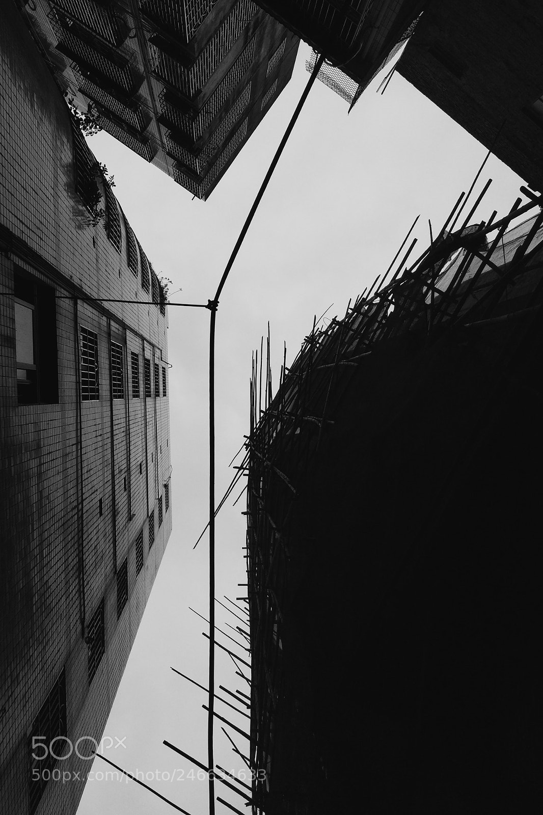 Xiaomi MI 5 sample photo. Untitled photography