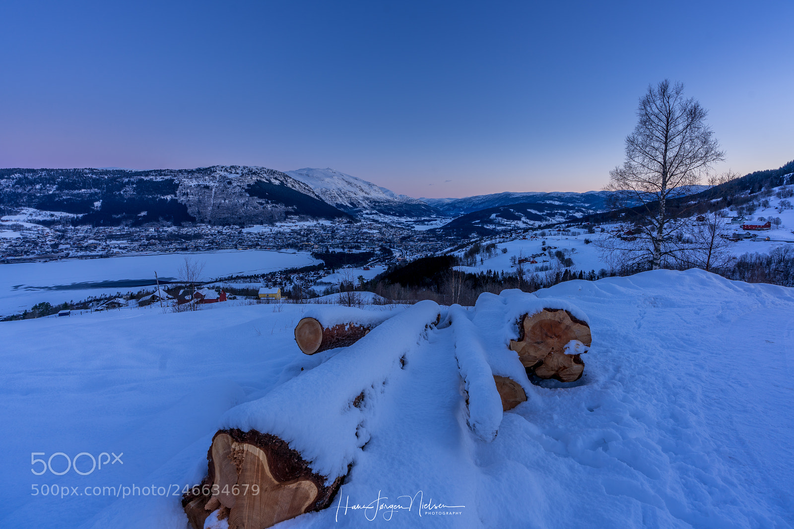 Sony a7R II sample photo. Timber 2 photography