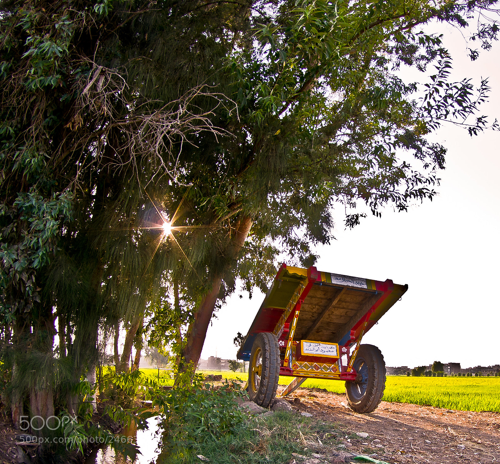 Pentax K-5 IIs sample photo. Untitled photography