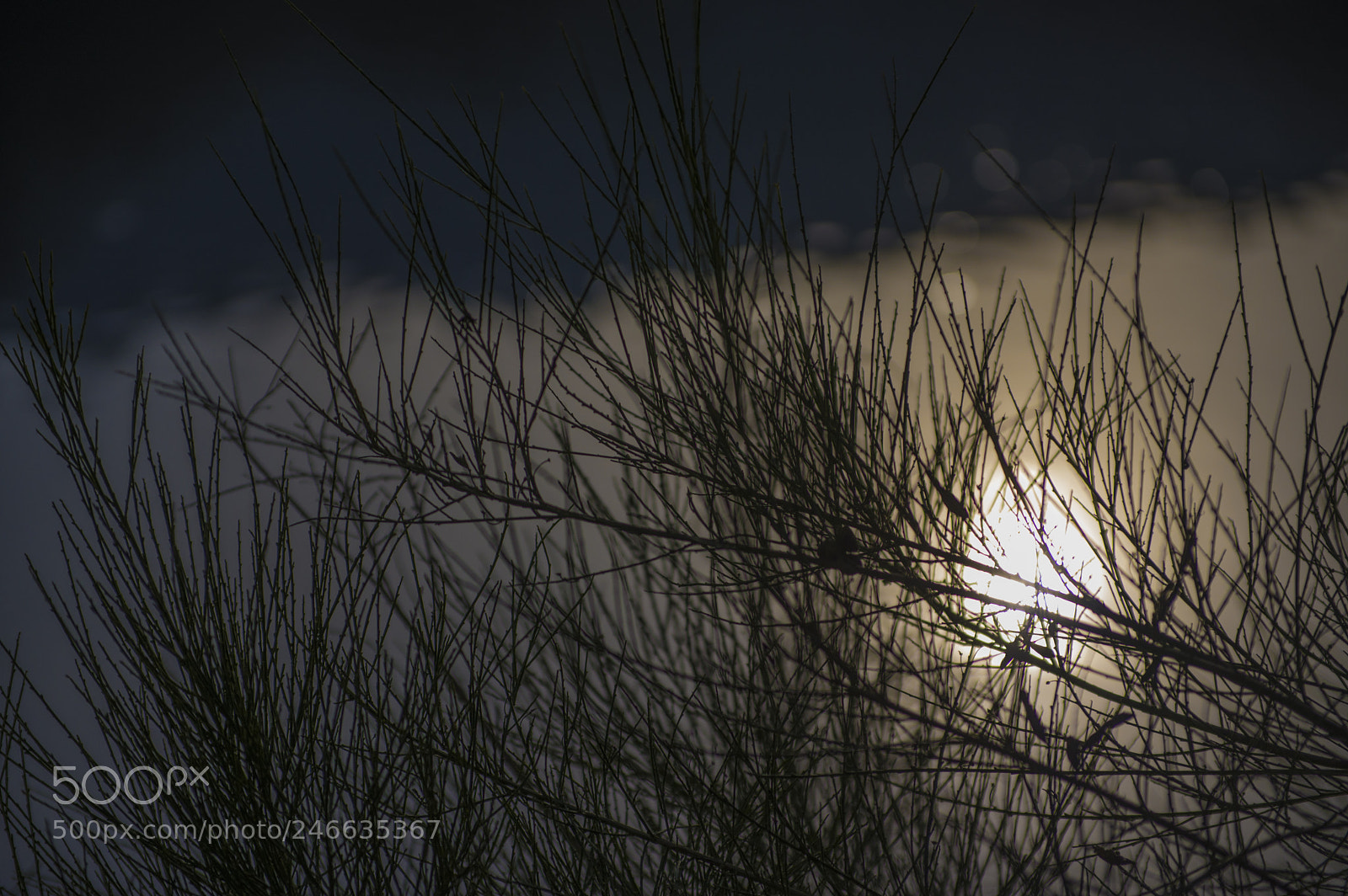 Pentax K-3 II sample photo. Eifel ruhr photography