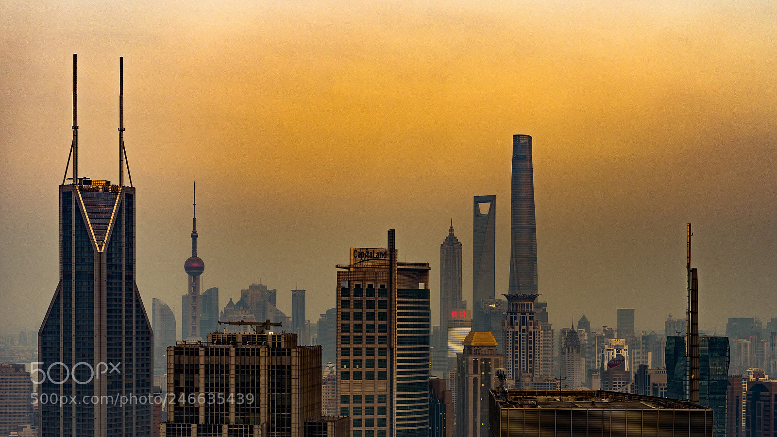 Sony a7 II sample photo. Shanghai 上海 photography