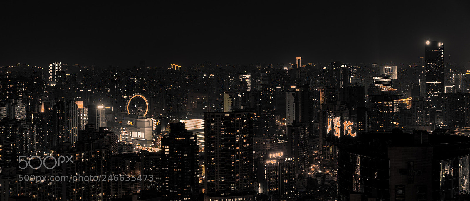 Sony a7 II sample photo. Night of shanghai 上海夜景 photography
