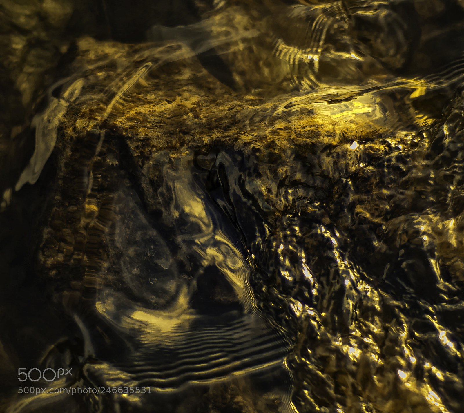Nikon D2X sample photo. Elbe gold photography