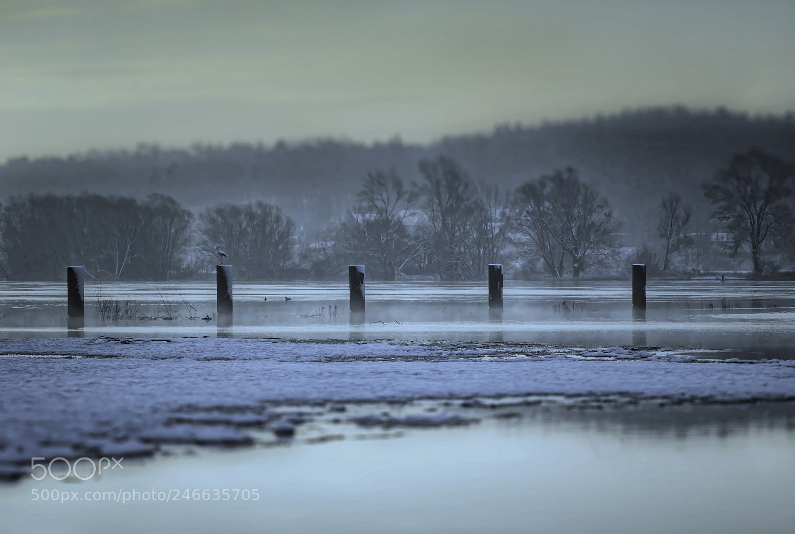 Nikon D7100 sample photo. Mooring posts river elbe photography