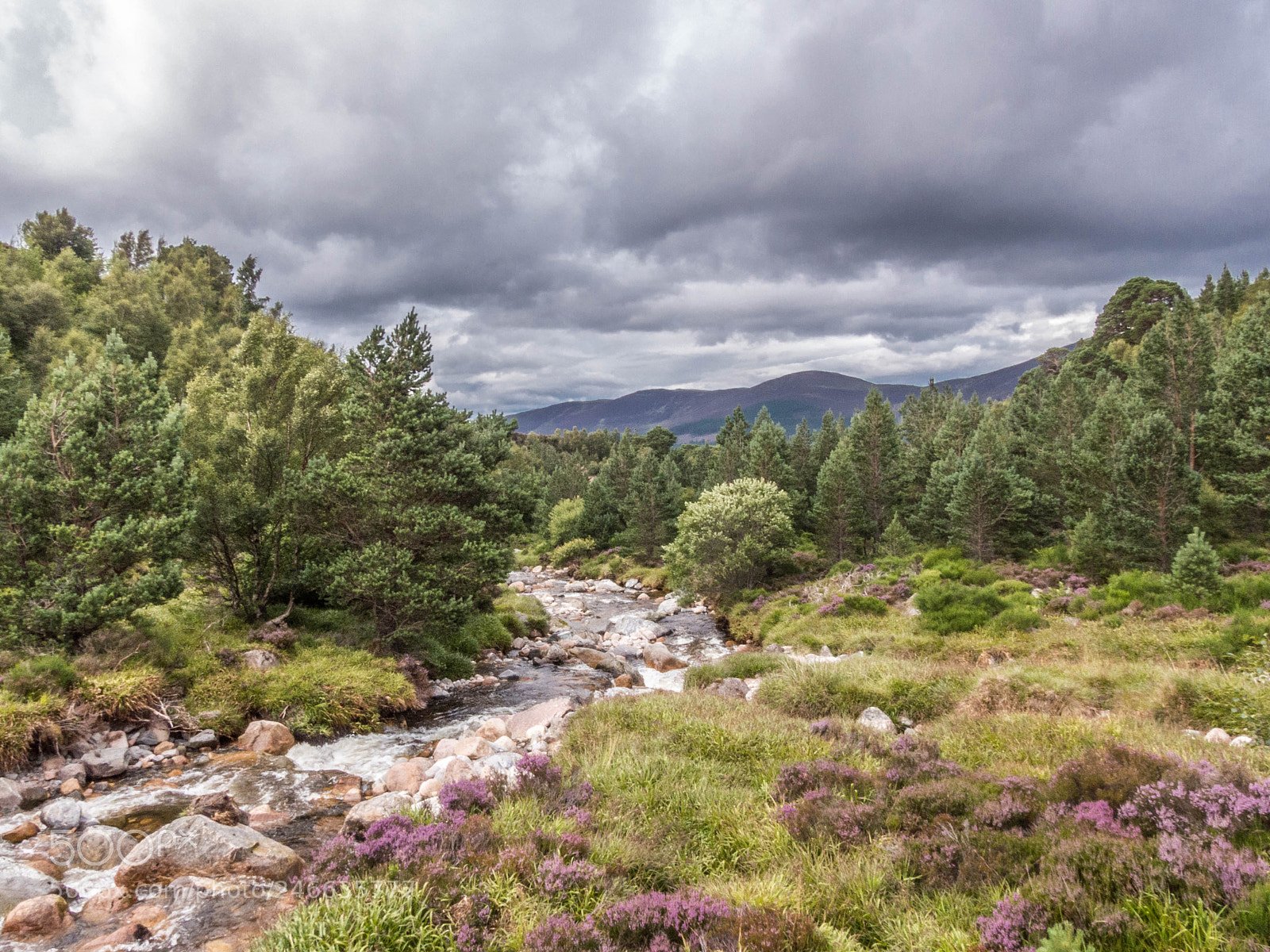 Panasonic Lumix DMC-FZ200 sample photo. Cairngorms photography