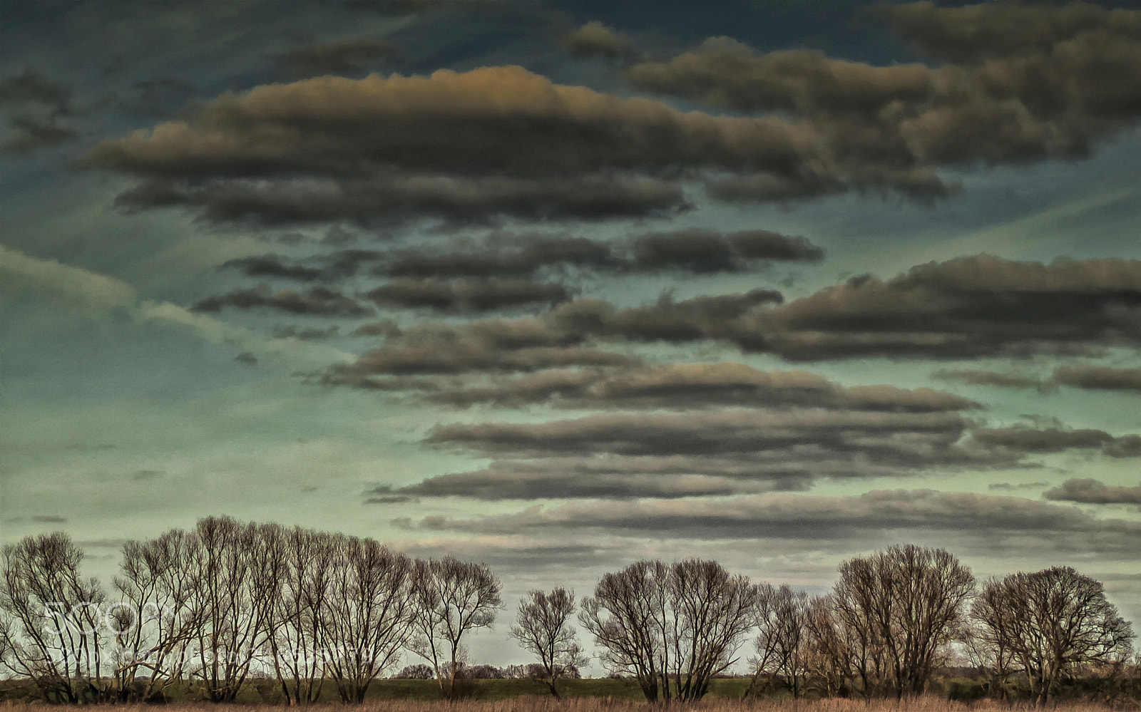 Nikon D2X sample photo. Cloud invasion photography