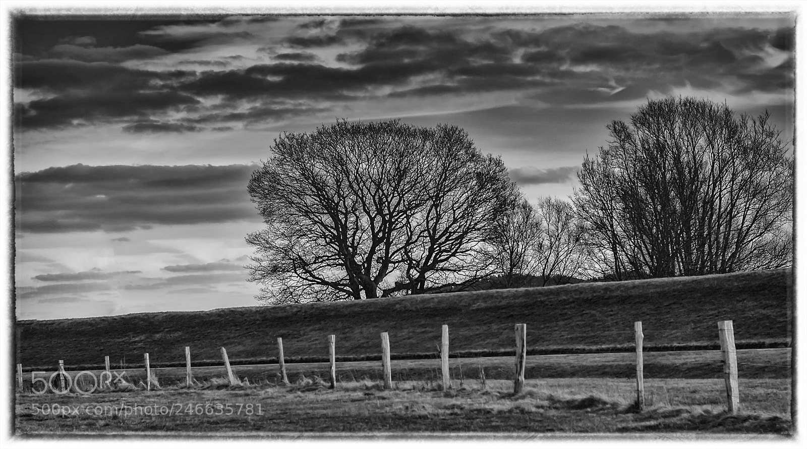 Nikon D2X sample photo. Fence photography