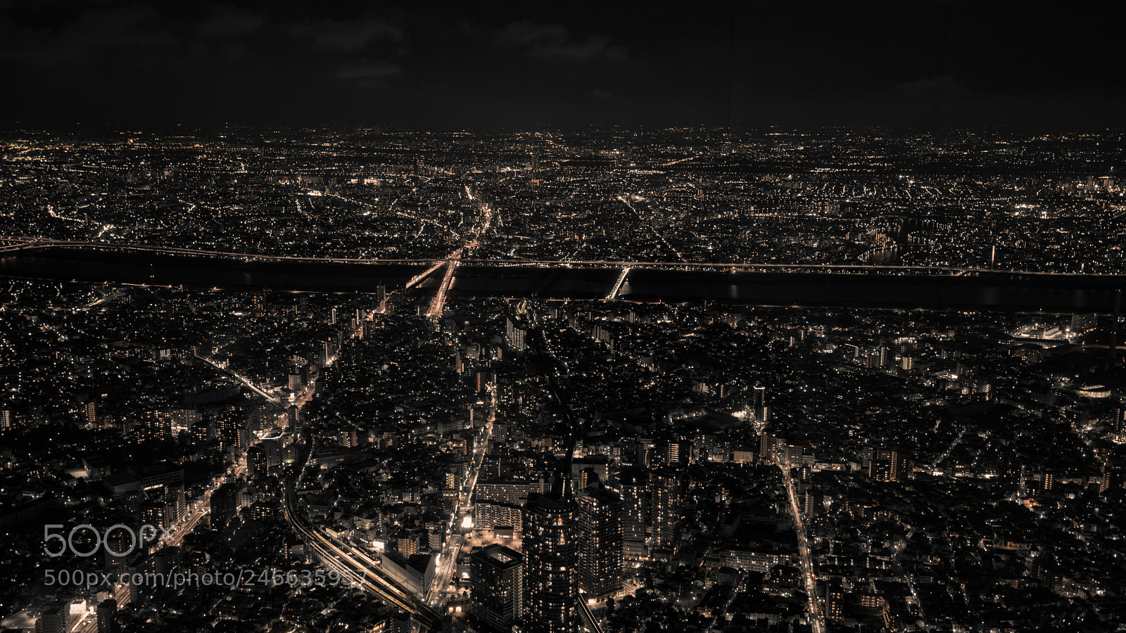 Sony a7 II sample photo. Night of japan 日本夜景 photography