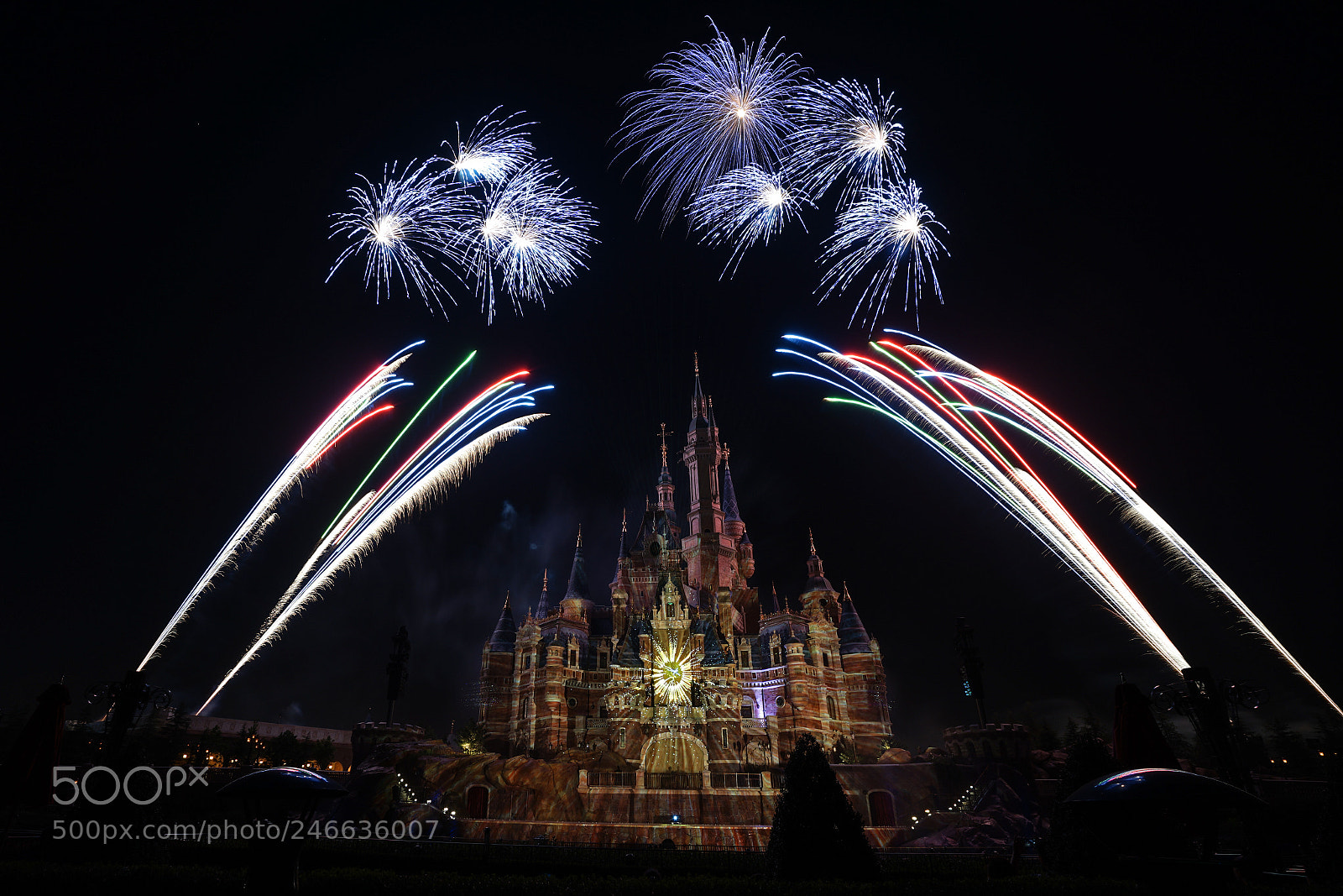 Sony a7 II sample photo. Disney 迪士尼 photography