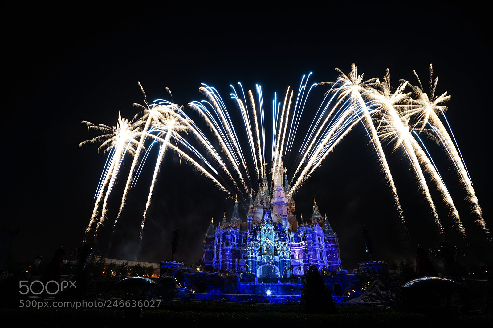 Sony a7 II sample photo. Disney 迪士尼 photography
