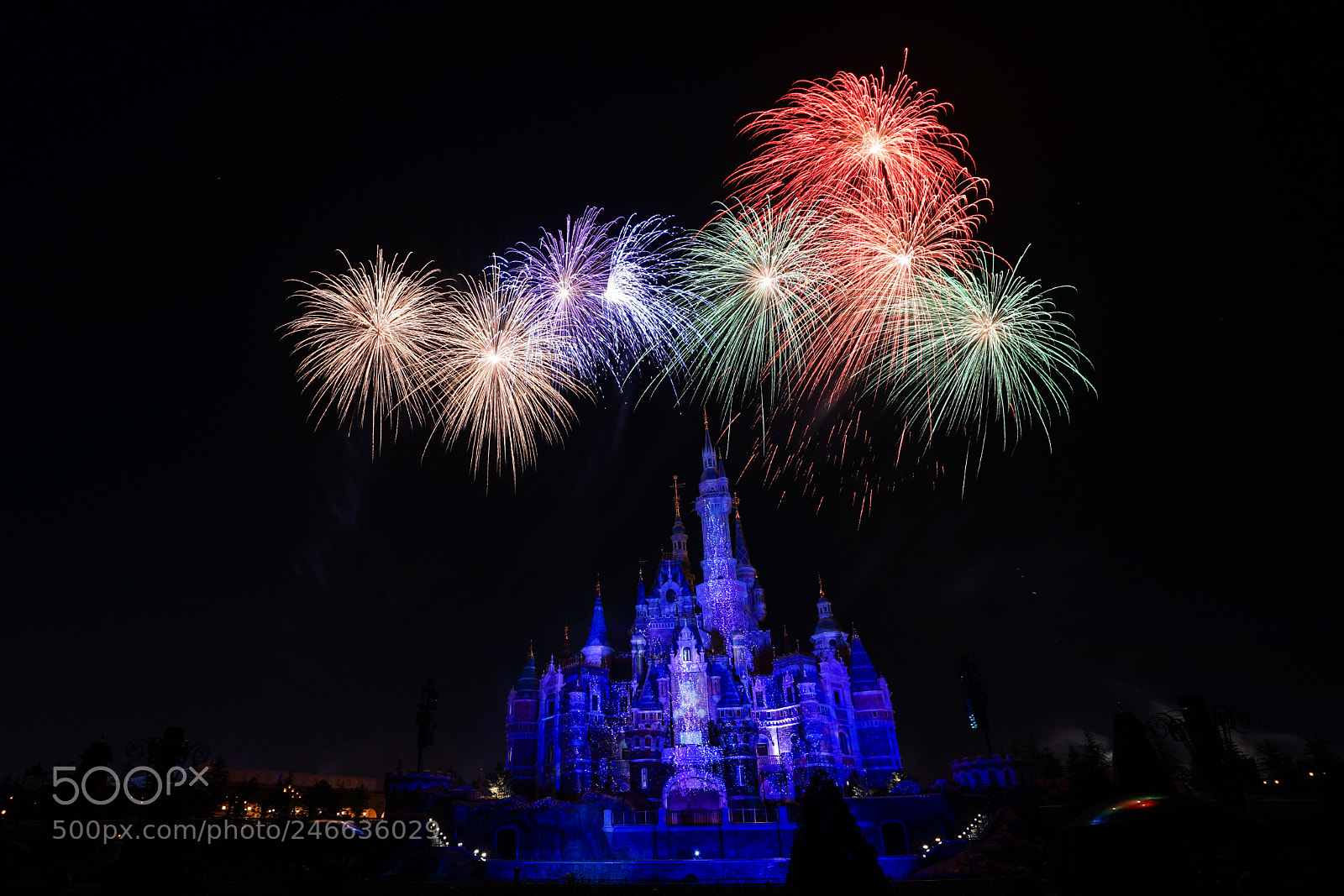 Sony a7 II sample photo. Disney 迪士尼 photography