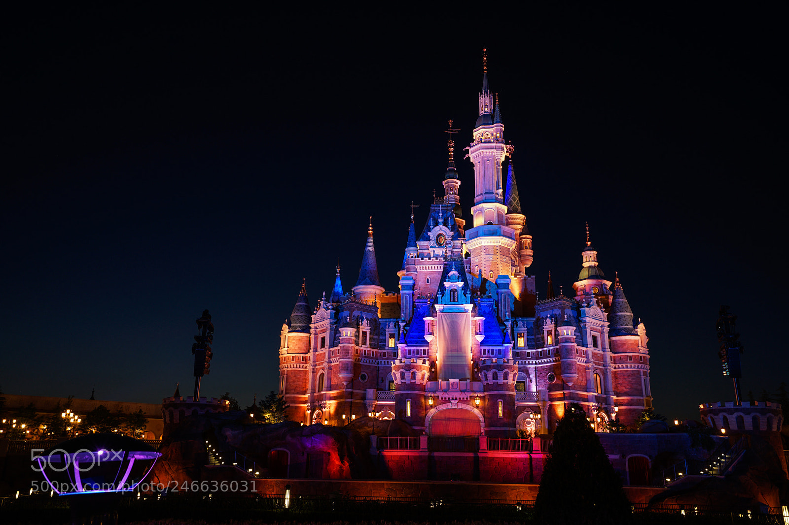 Sony a7 II sample photo. Disney 迪士尼 photography