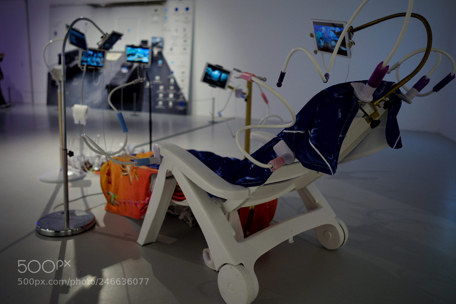 Sony a7 II sample photo. Do you wish to photography