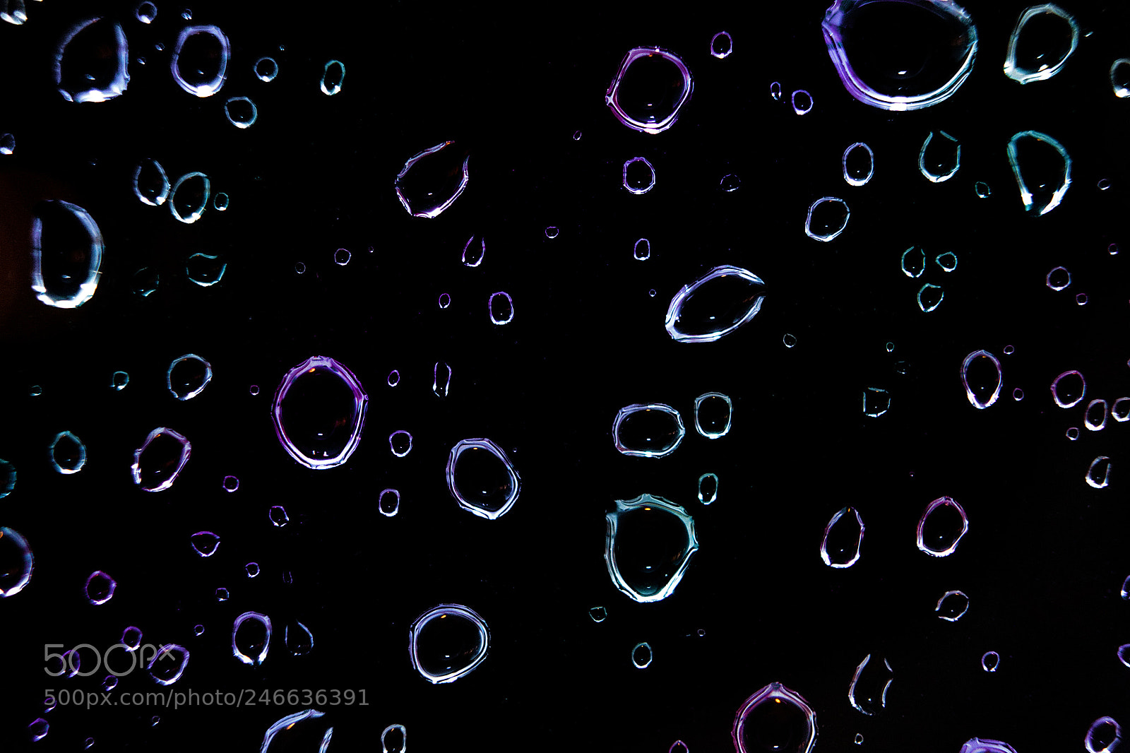 Canon EOS 550D (EOS Rebel T2i / EOS Kiss X4) sample photo. Fancy raindrops photography