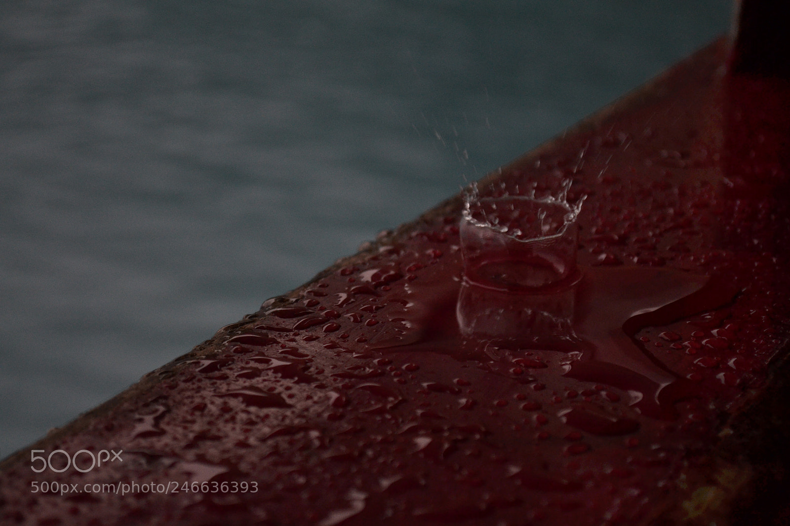 Nikon D3100 sample photo. Tear drop or raindrop? photography