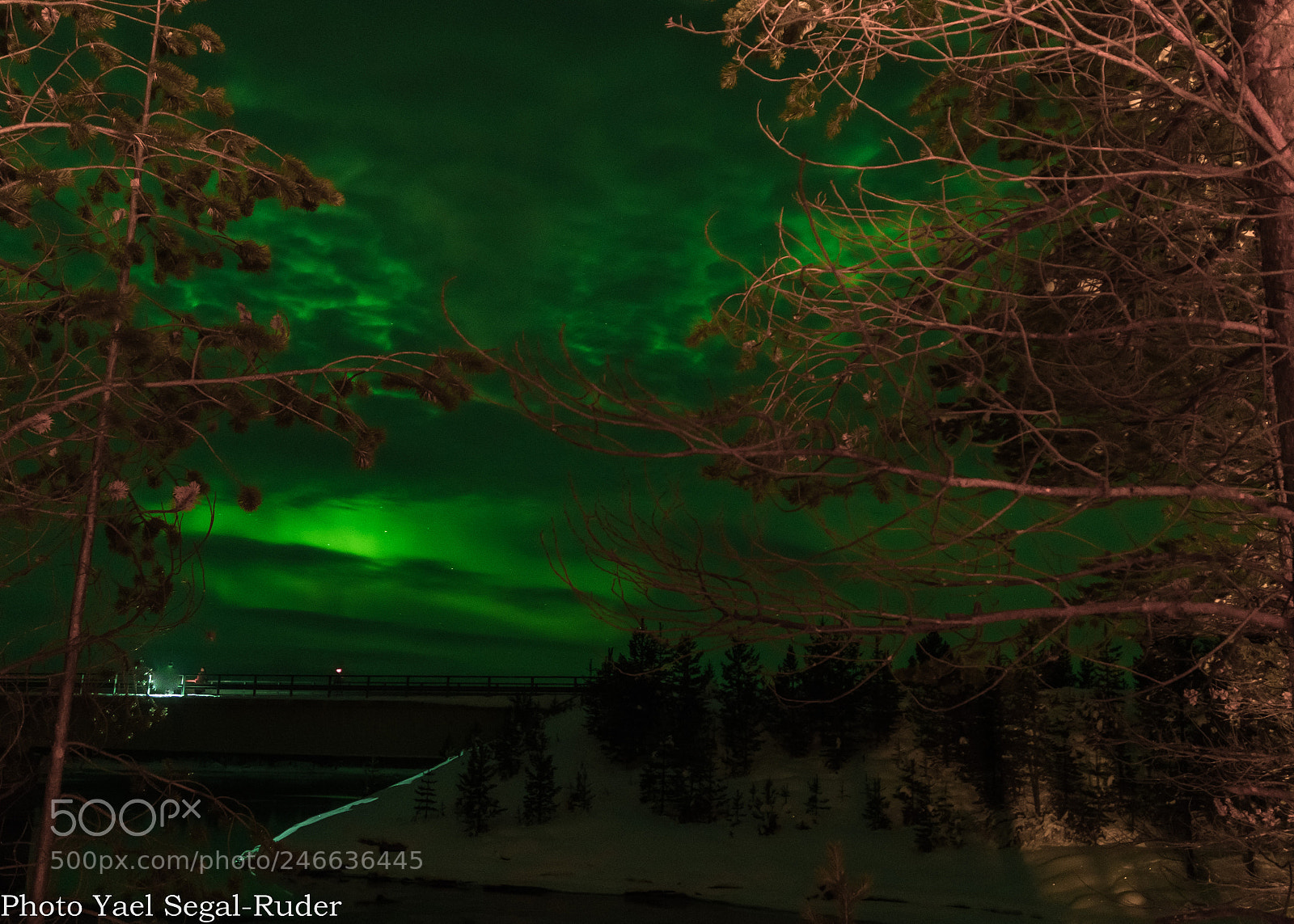Nikon D500 sample photo. Aurora night photography