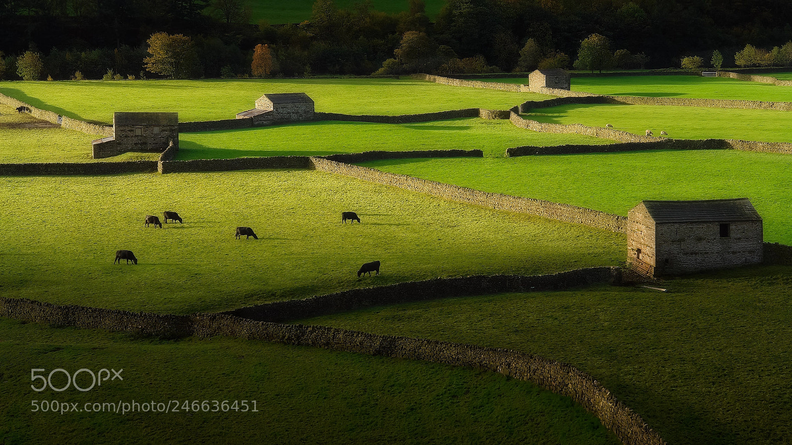 Sony DSC-R1 sample photo. Yorkshire dales 3 photography