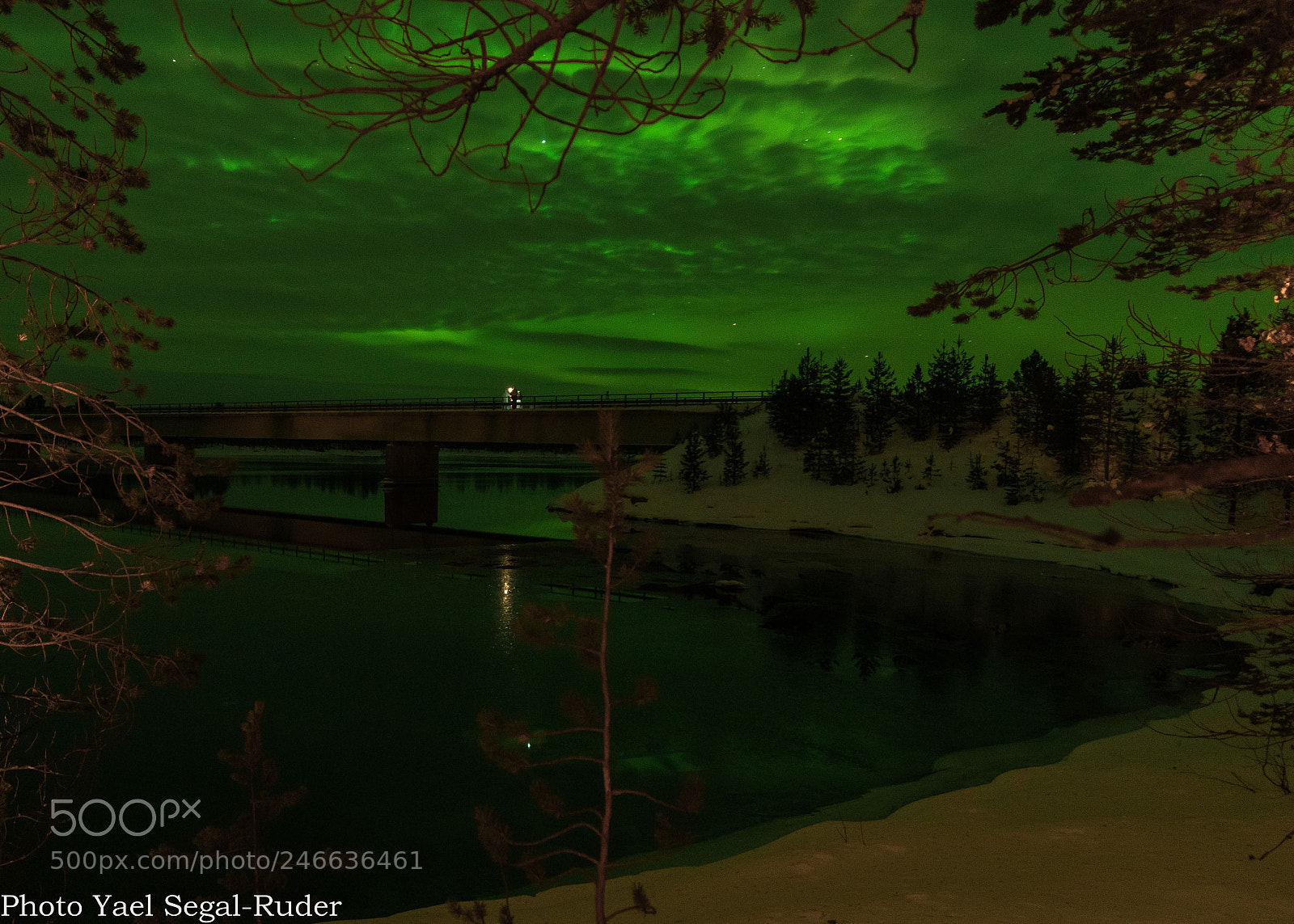 Nikon D500 sample photo. Aurora night photography