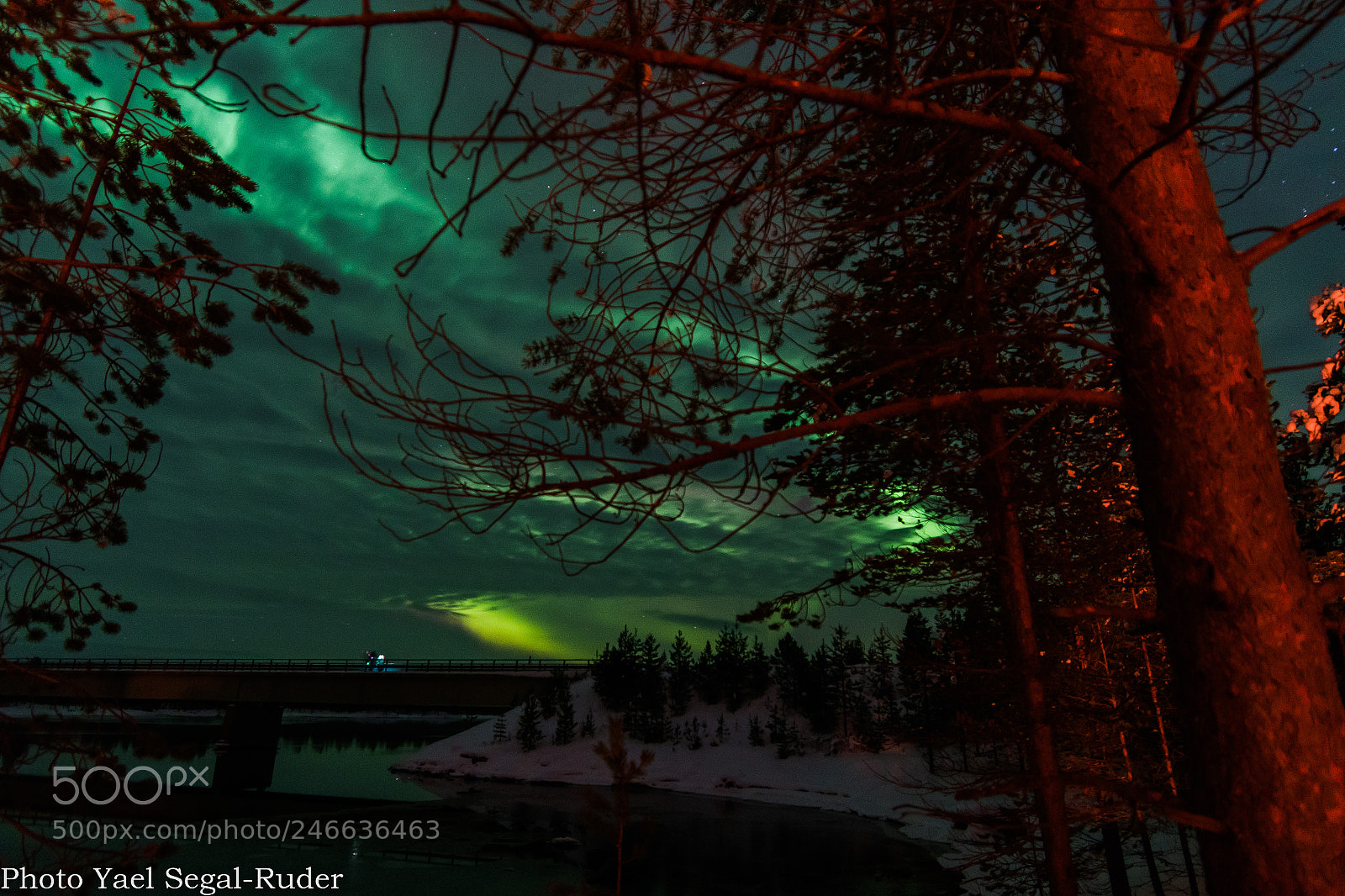 Nikon D500 sample photo. Aurora night photography