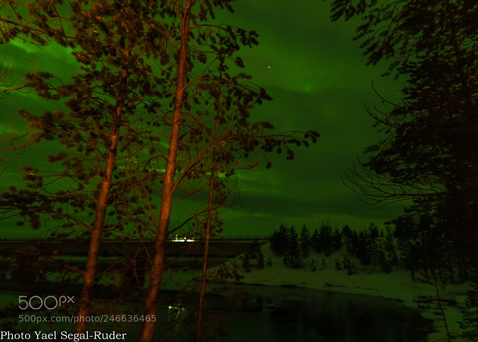 Nikon D500 sample photo. Aurora night photography