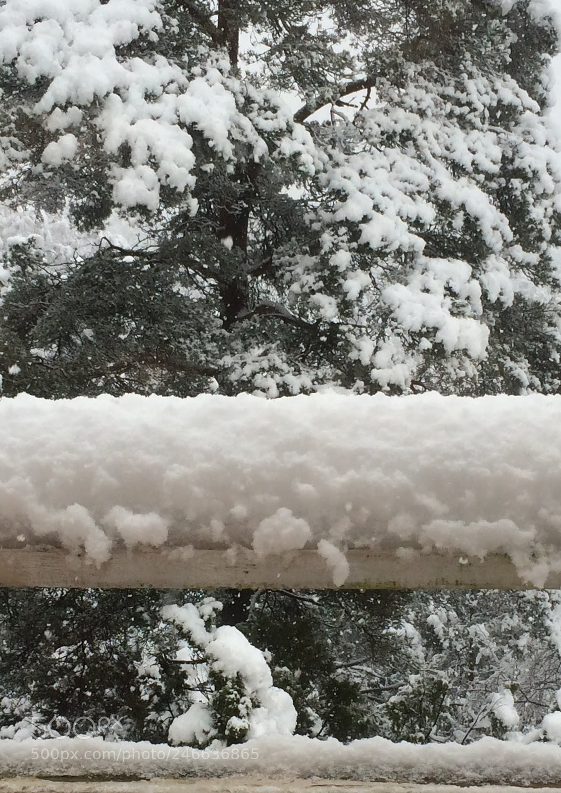 Apple iPhone 5s sample photo. Snow photography