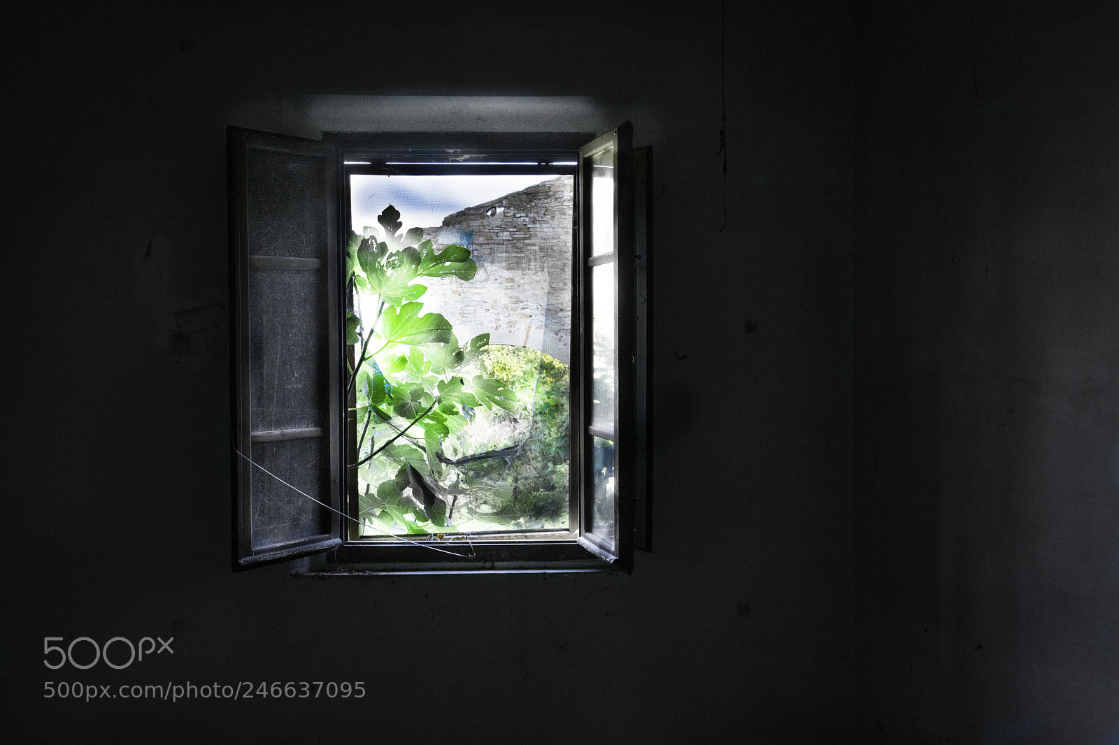 Sony a7 II sample photo. Cascine tavola finestra torre photography