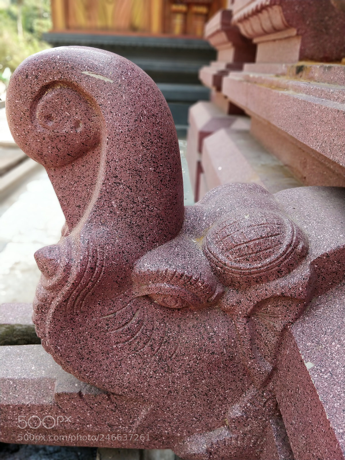 OnePlus 5T sample photo. Untitled photography