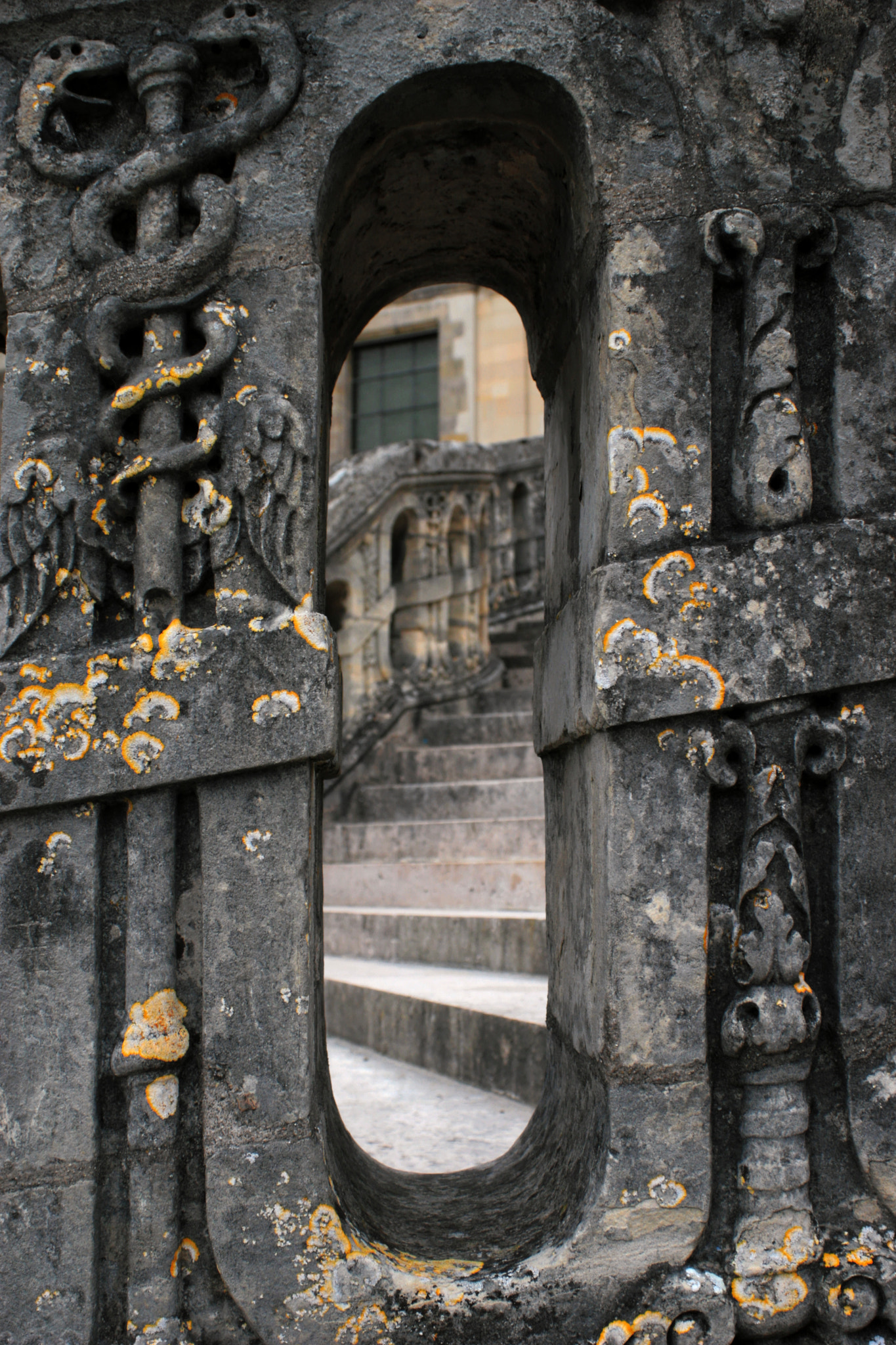 Canon EF28-90mm f/4-5.6 USM sample photo. Fountainebleau photography