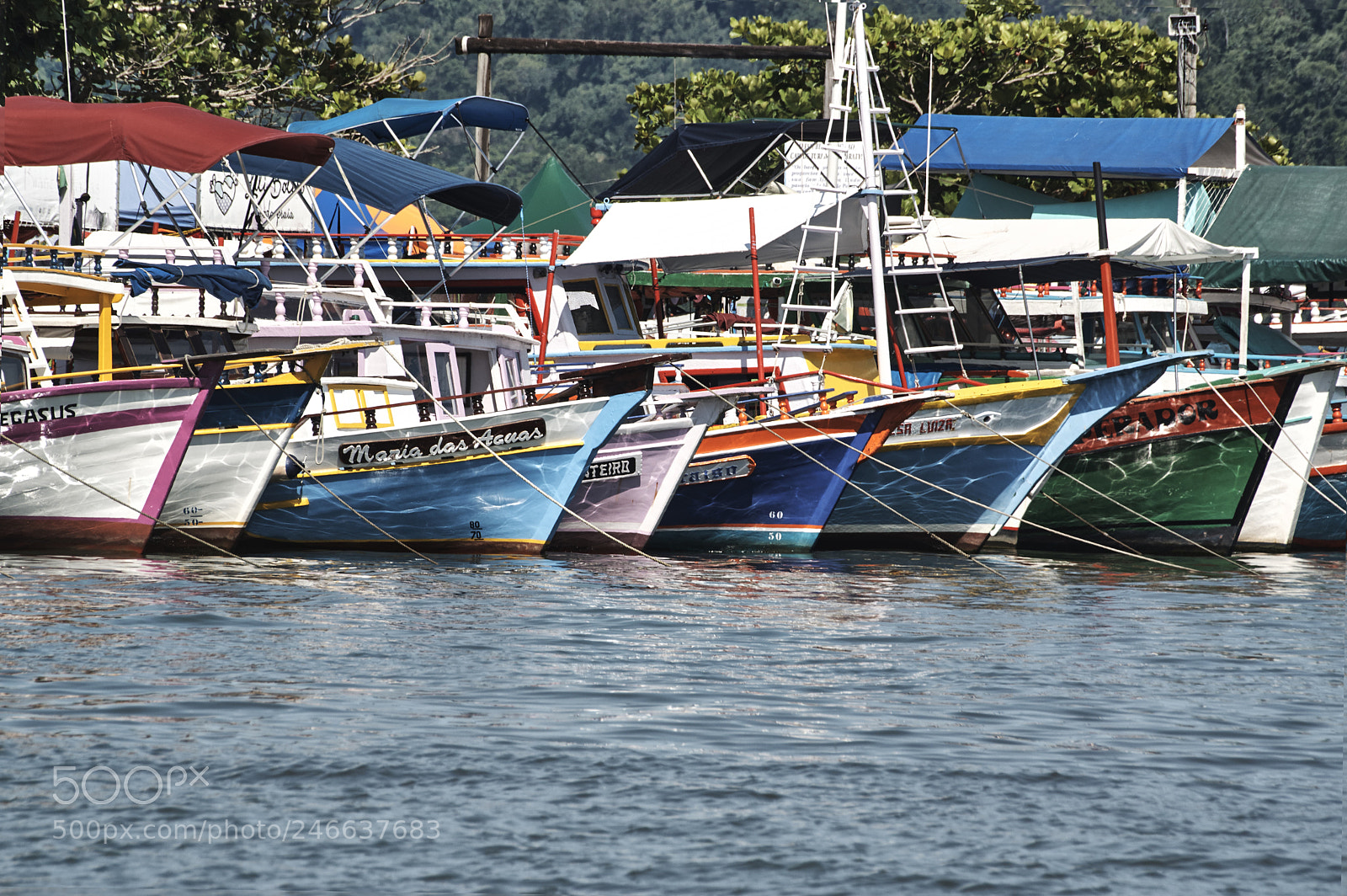 Pentax K-3 sample photo. Porto photography