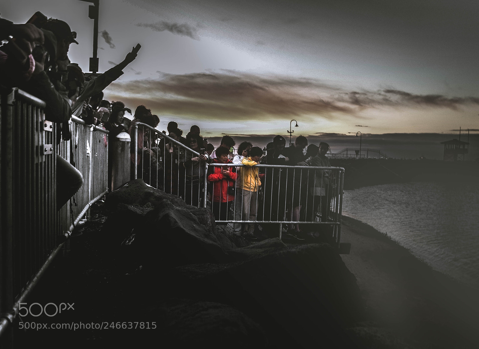 Samsung NX3000 sample photo. Watching tourists watching penguins photography