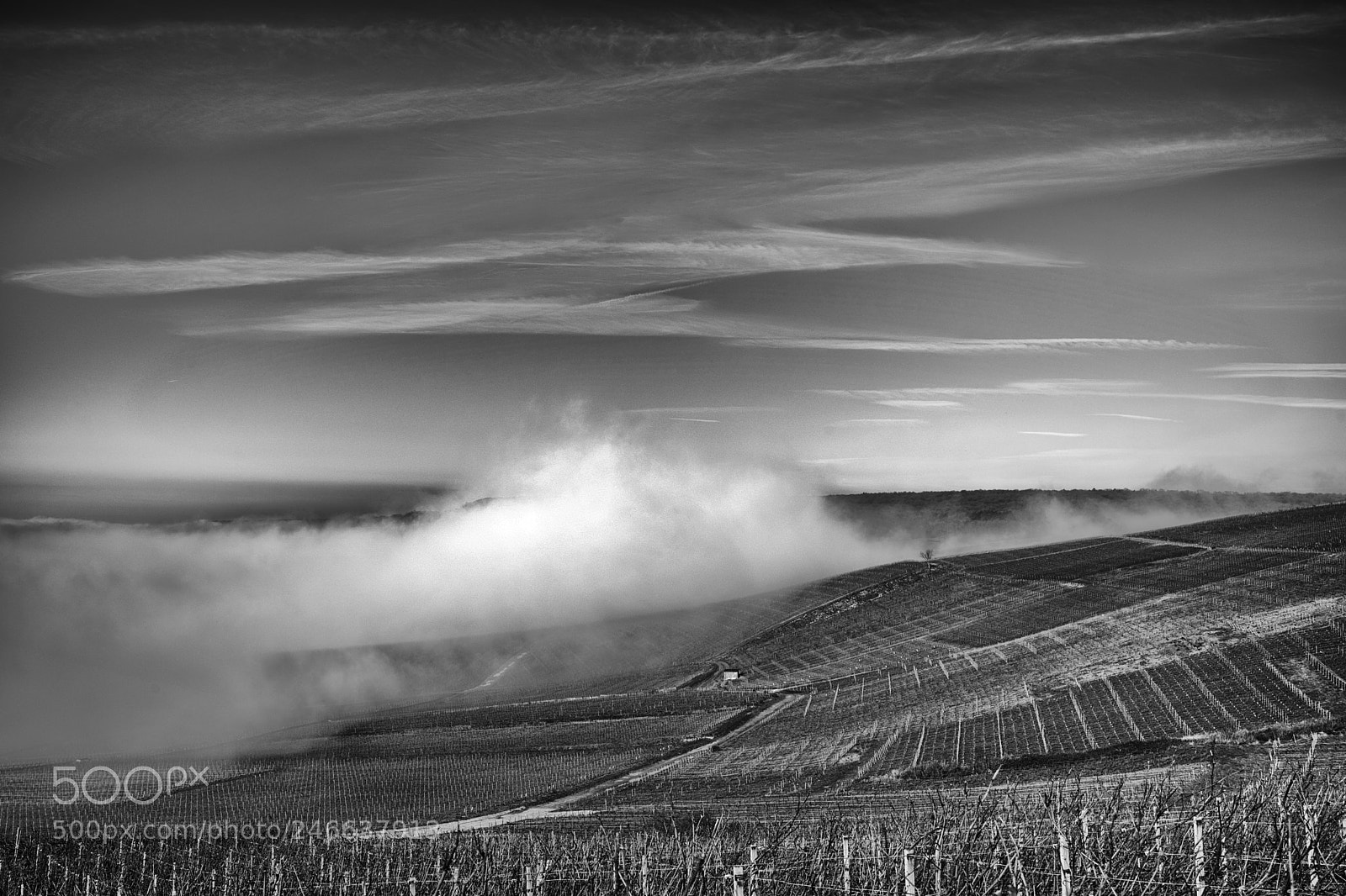 Pentax K-1 sample photo. Entre ciel et terre... photography