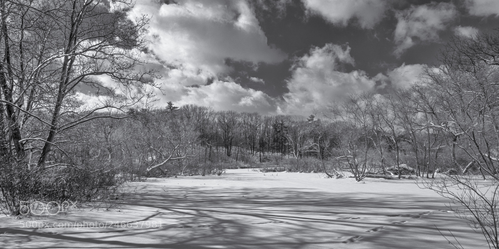 Sony DSC-RX100M5 sample photo. Canadian winter at its photography