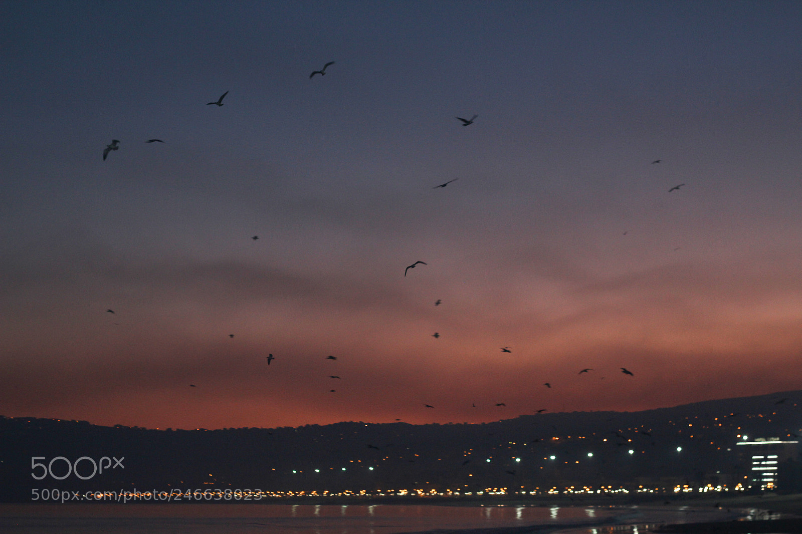 Canon EOS 600D (Rebel EOS T3i / EOS Kiss X5) sample photo. Img photography