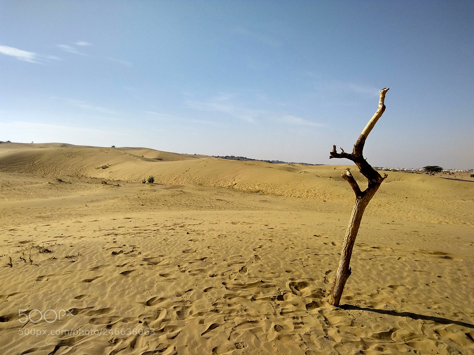 Motorola Moto G (5S) Plus sample photo. A lone tree photography