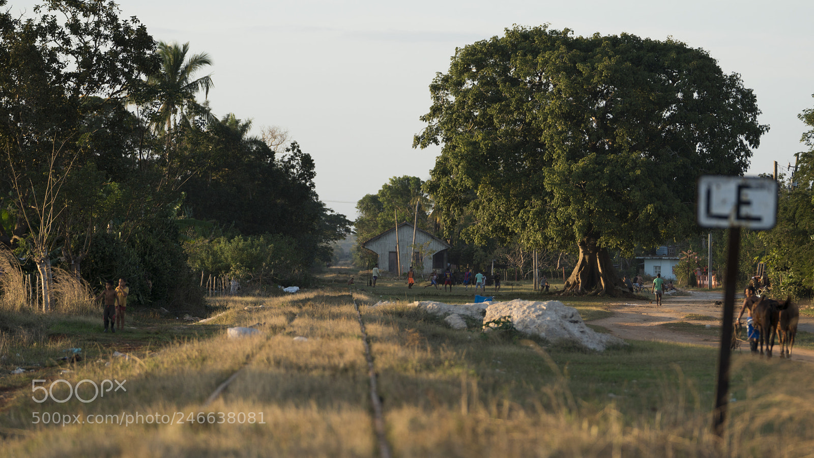 Sony a6500 sample photo. Cuban railroad track photography
