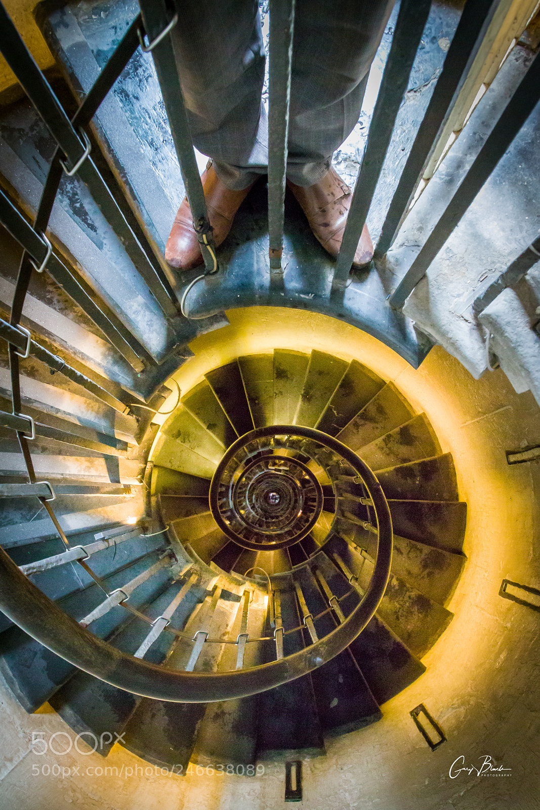 Canon EOS 6D Mark II sample photo. Week 7/52 - nautilus steps photography