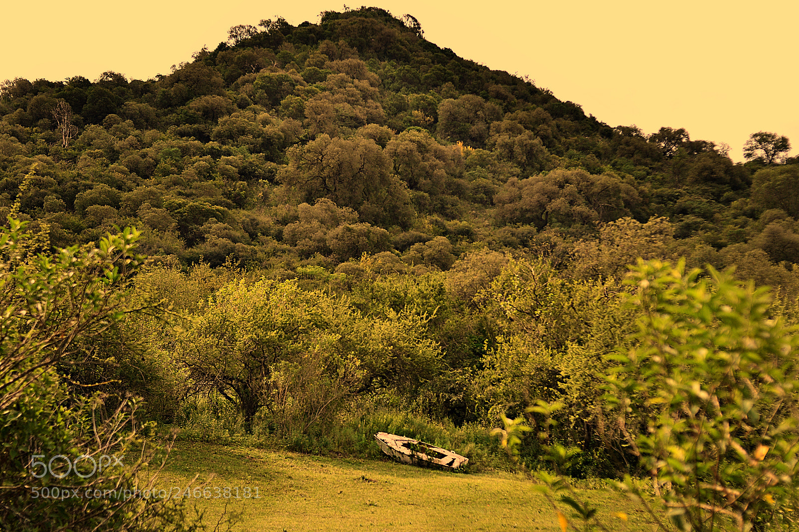 Nikon D3100 sample photo. Where to now? photography