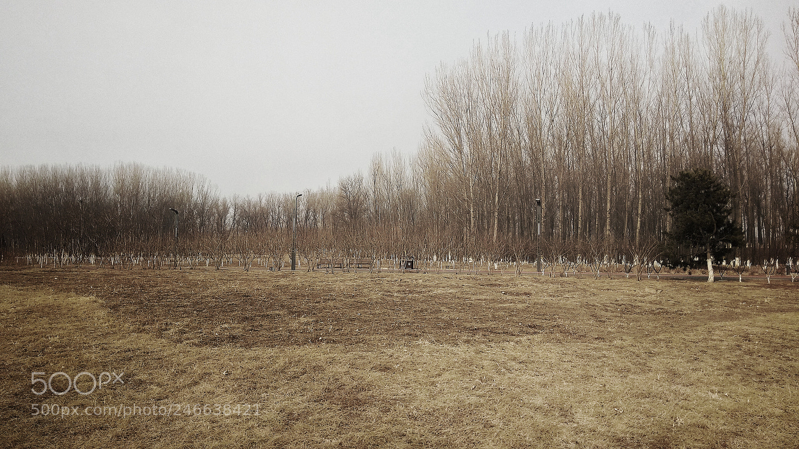 Xiaomi Redmi Note 4X sample photo. The sky and the photography