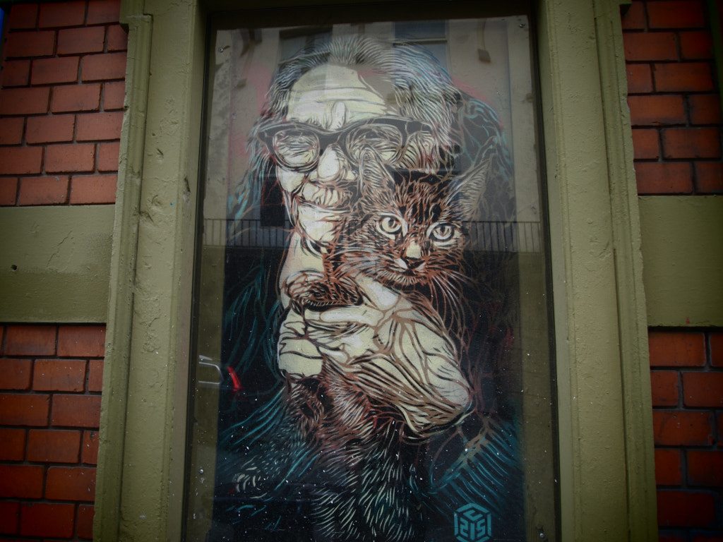 Olympus PEN E-P1 sample photo. Street art by c215 photography