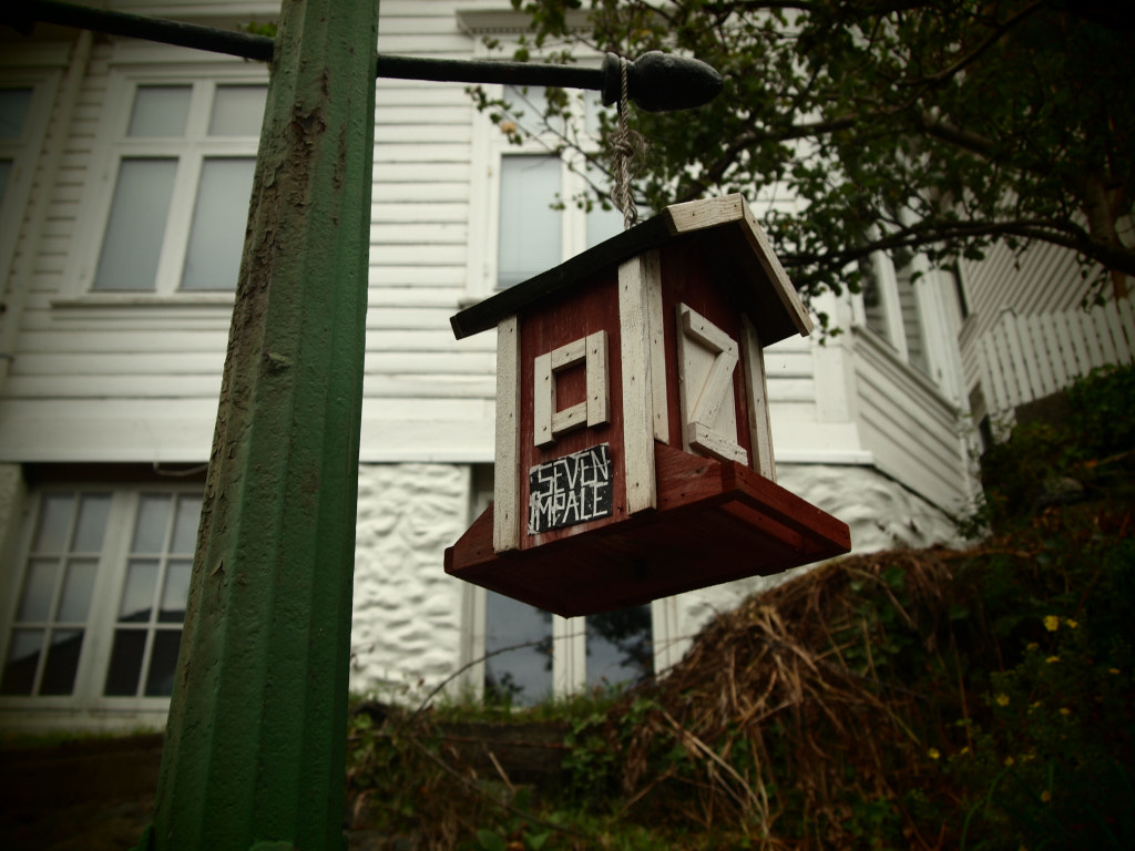 Olympus PEN E-P1 sample photo. Metal birdhouse photography