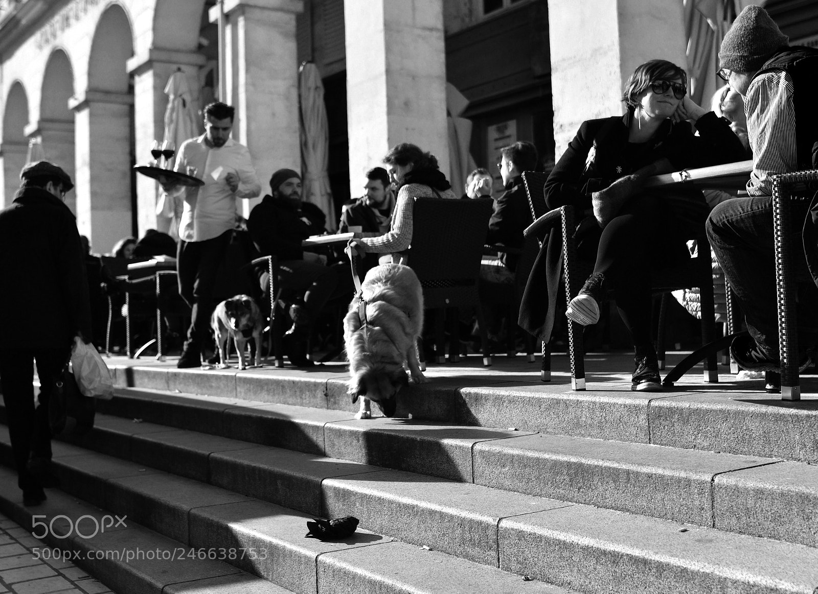 Nikon D7500 sample photo. Eviter les obstacles et photography