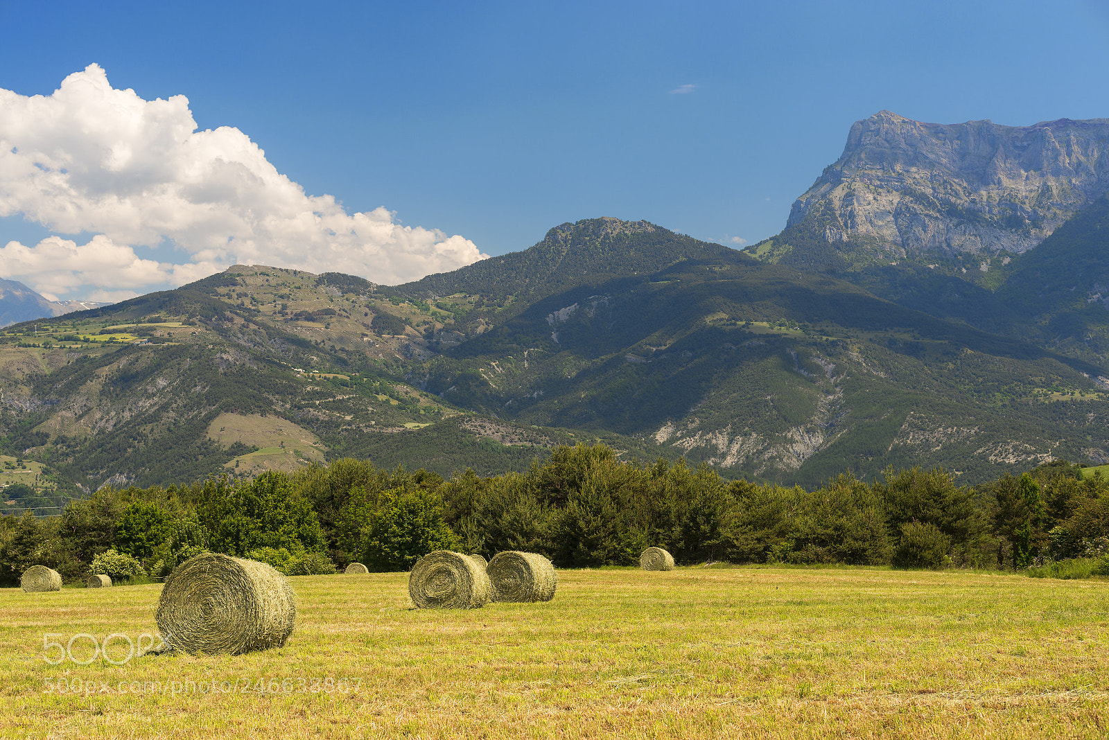 Nikon D800 sample photo. Landscape in haute provence photography