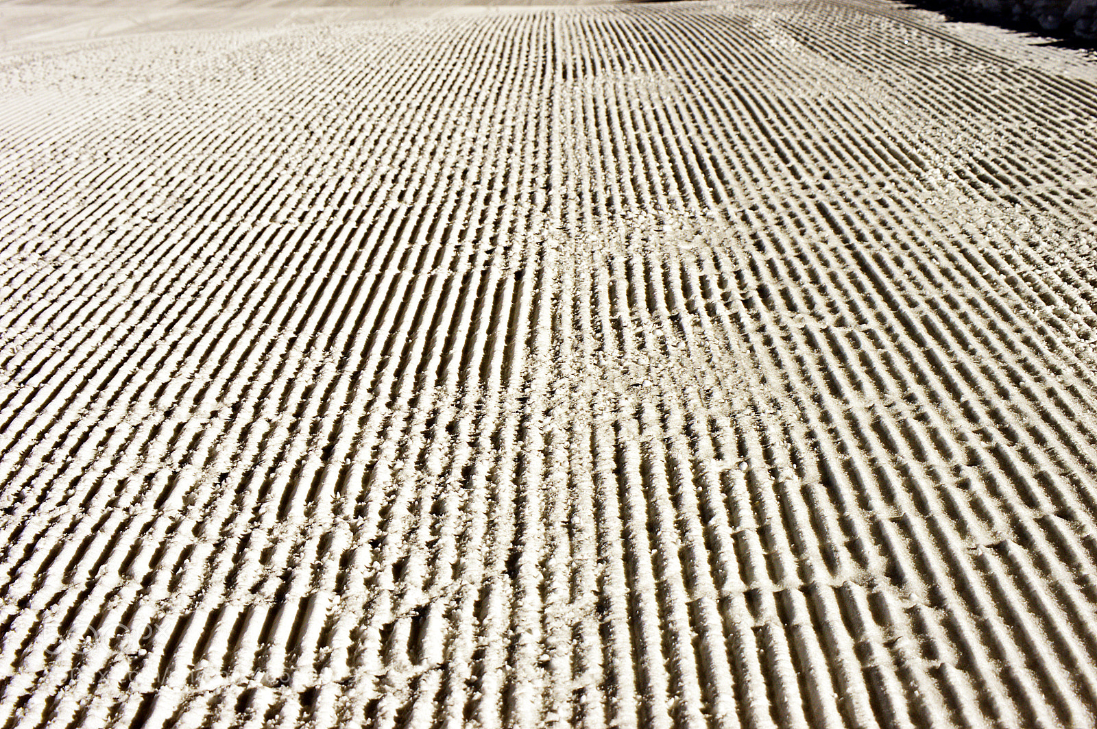 Nikon D3200 sample photo. Slope preparation photography